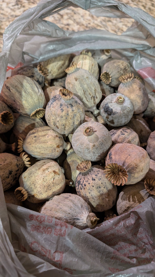Dried Floral Decorations