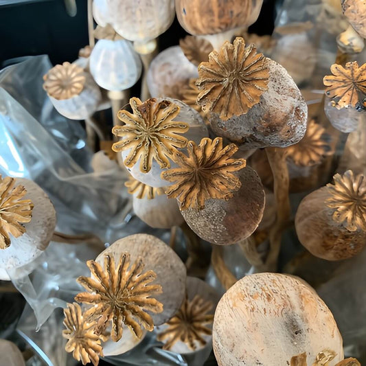 Dried Floral Decorations