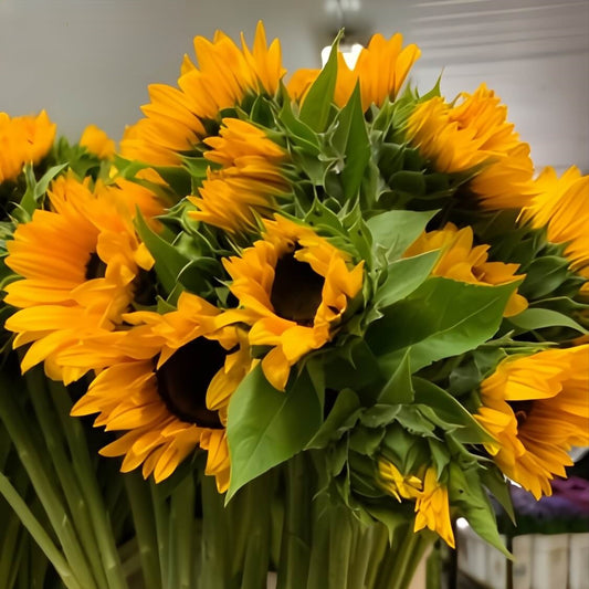 Sunflowers